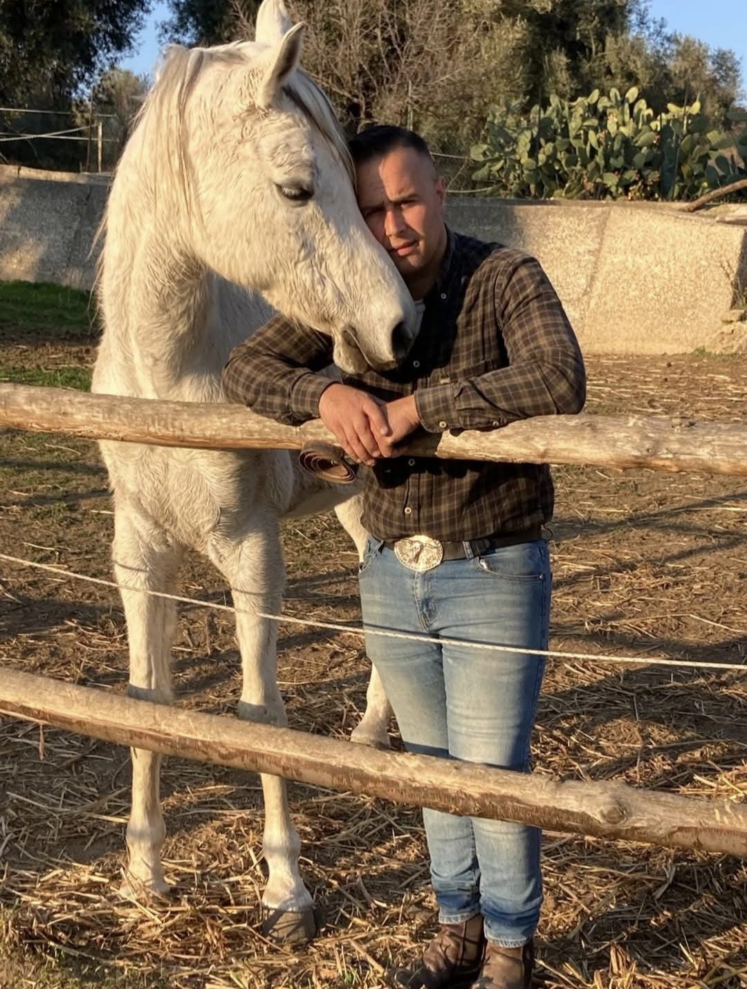 Pensione per cavalli a Siracusa