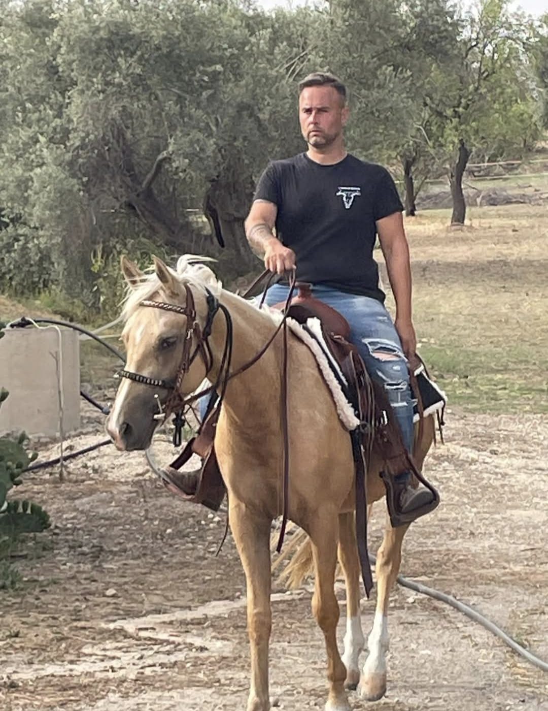 Pensione per cavalli a Siracusa