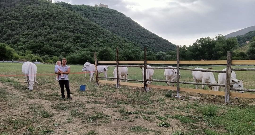 Pensione per cavalli a Siracusa