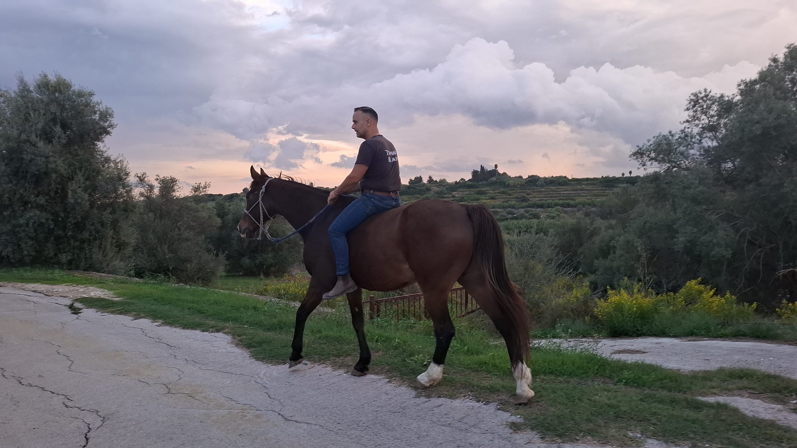 Pensione per cavalli a Siracusa