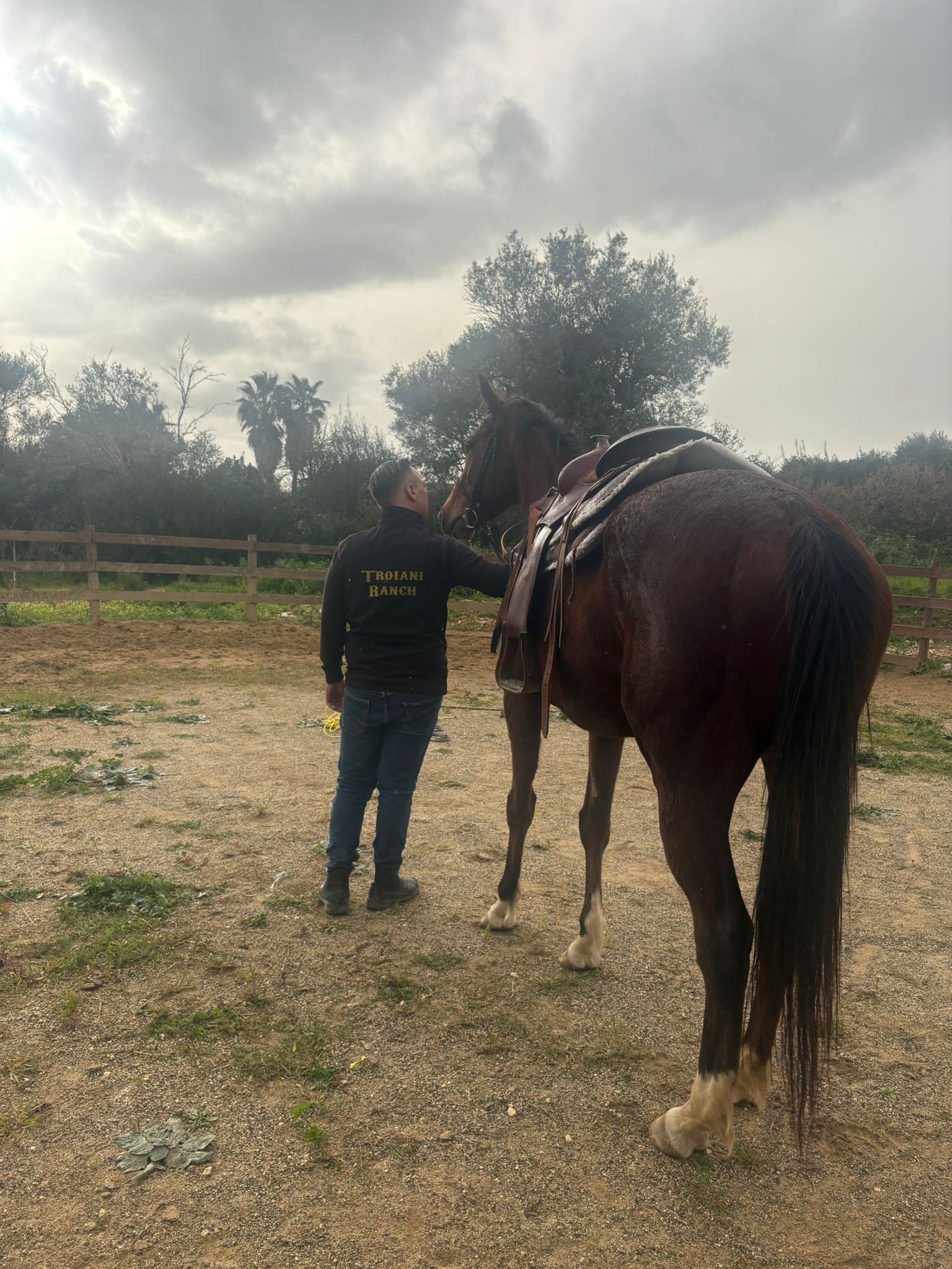 Pensione per cavalli a Siracusa