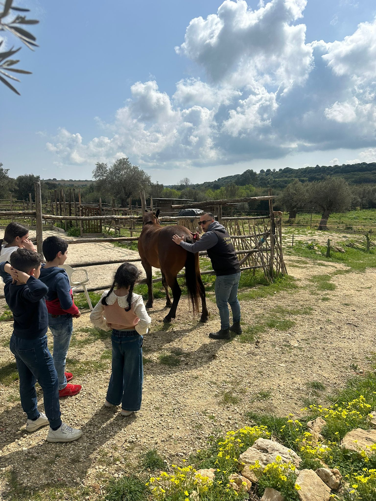 Pensione per cavalli a Siracusa