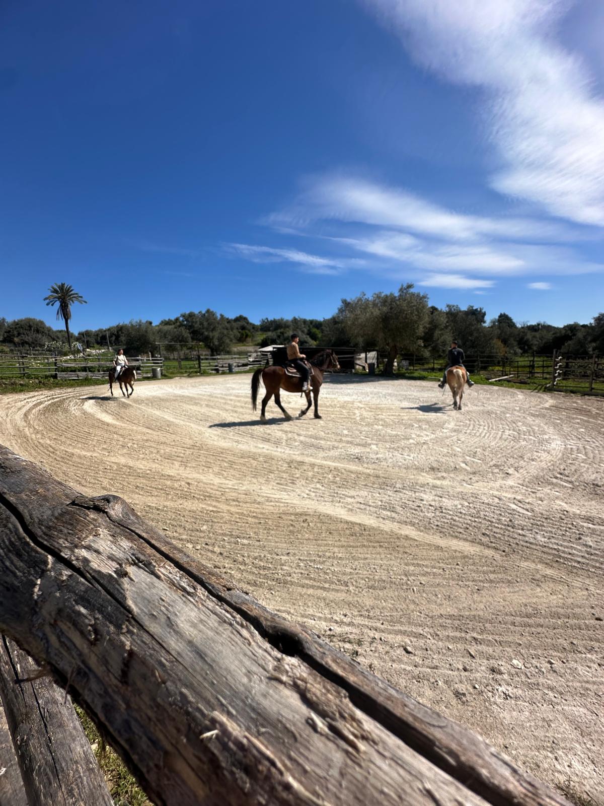 Lezioni di equitazione americana a Siracusa