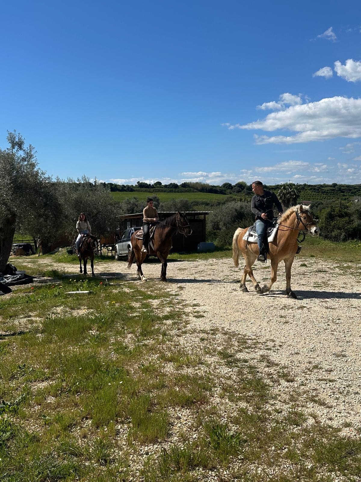 Lezioni di equitazione americana a Siracusa
