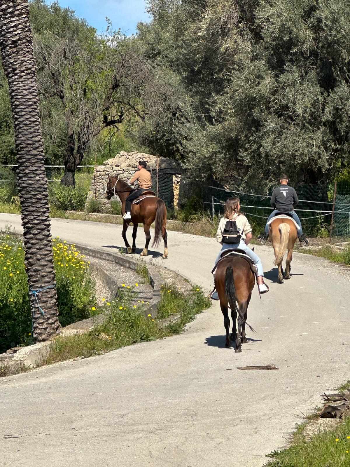 Lezioni di equitazione americana a Siracusa