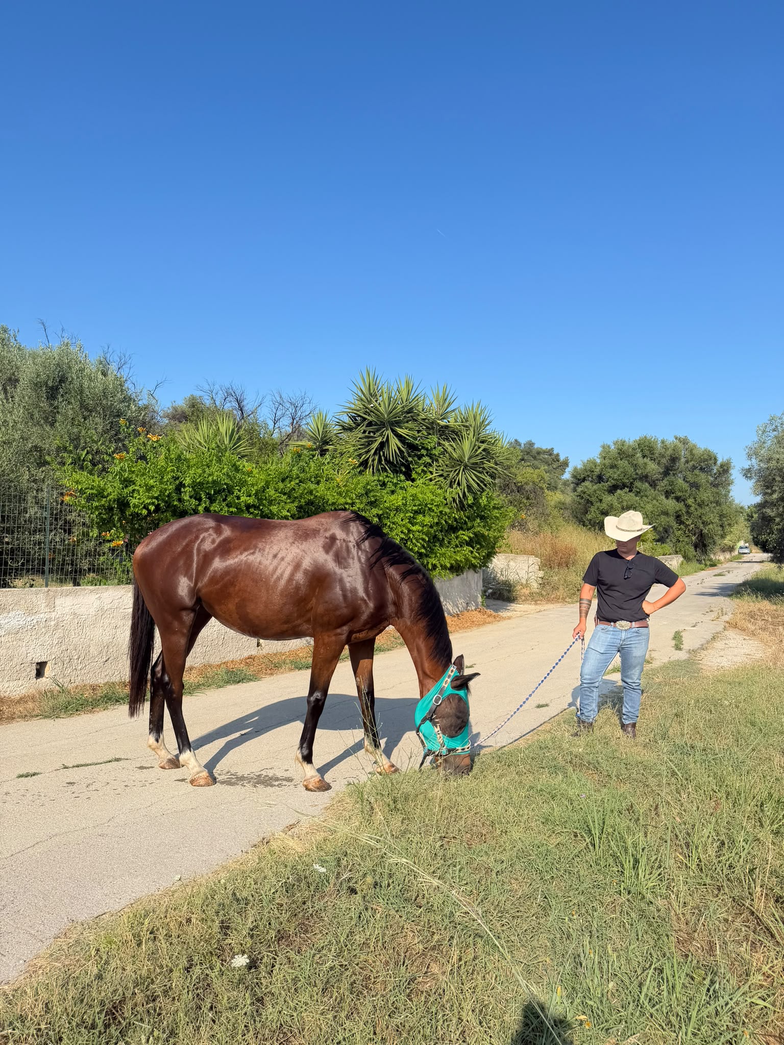 Lezioni di equitazione americana a Siracusa